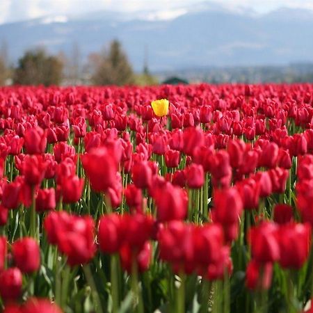 Red Tulip Hotel Ángeles Extérieur photo